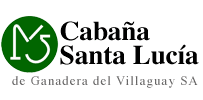 Santa Lucia Logo