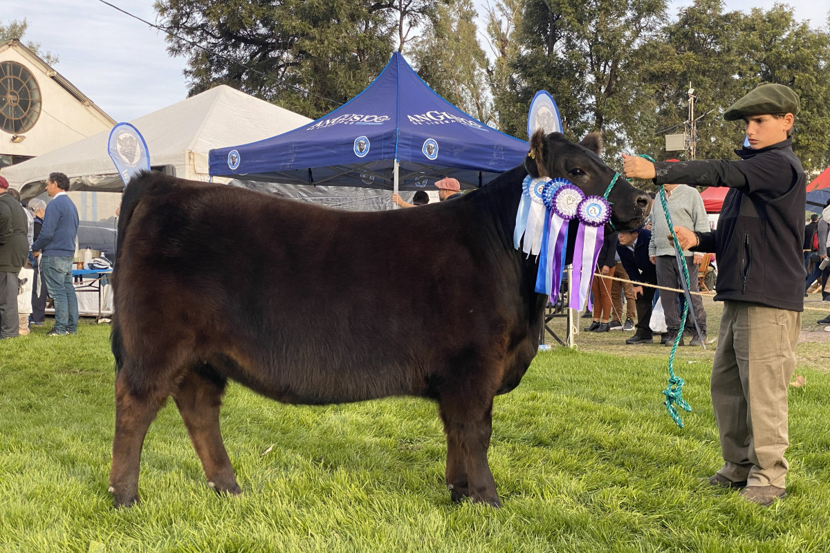 Imagen galería LUQUENSE 3532 HECHICERA T/E #1