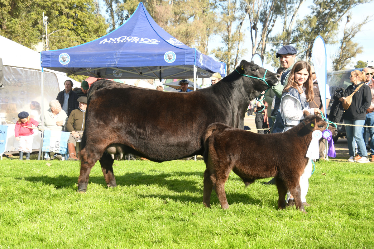 Imagen galería LUQUENSE 3246 BRAVO 1344 FIV #1