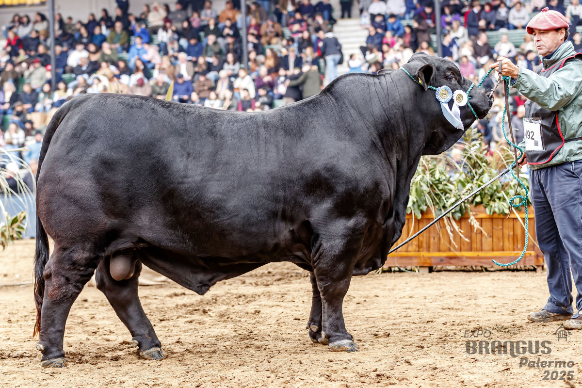 Imagen galería LUQUENSE 361 “ALCATRAZ” T/E #3