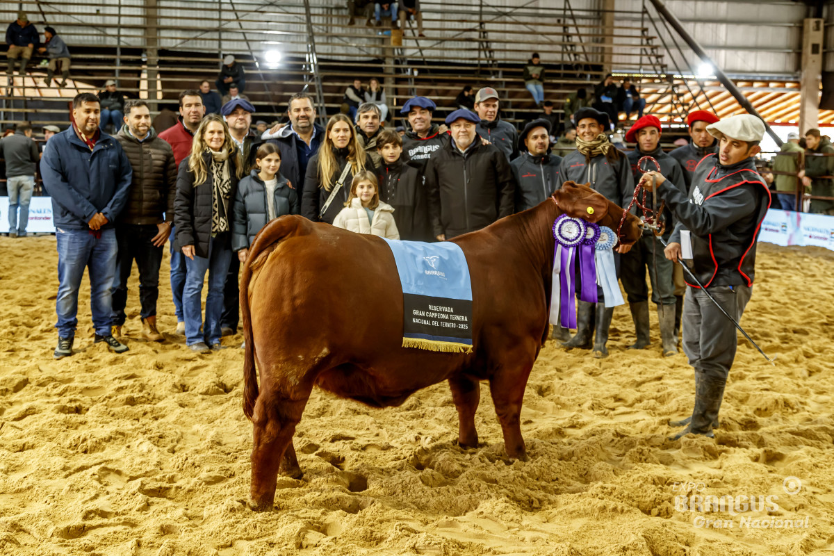 Imagen galería LUQUENSE 840 YVERA FIV #3