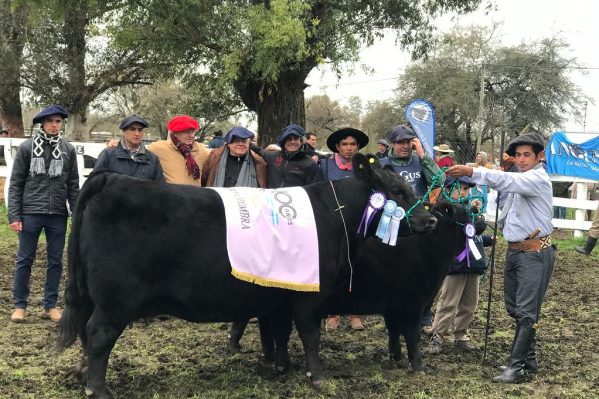 Imagen galería LUQUENSE 3532 HECHICERA T/E #3