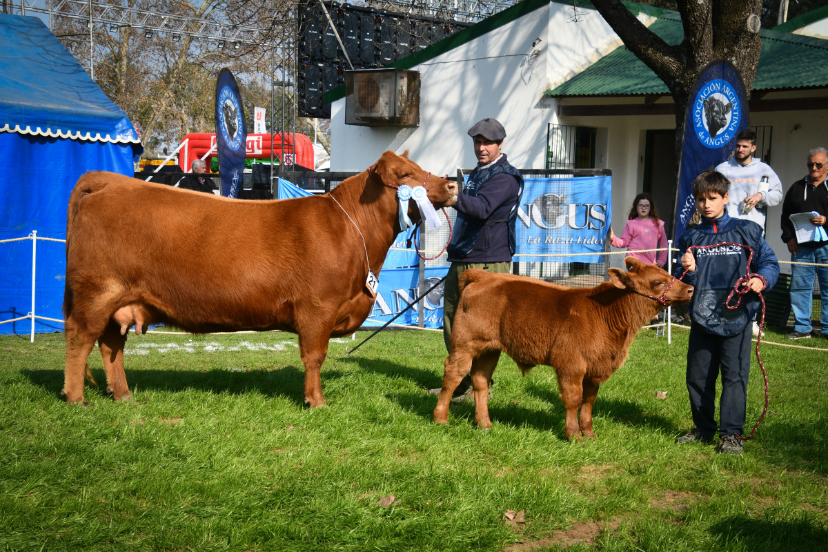 Imagen galería LUQUENSE 2792 ALTEZA T/E #1