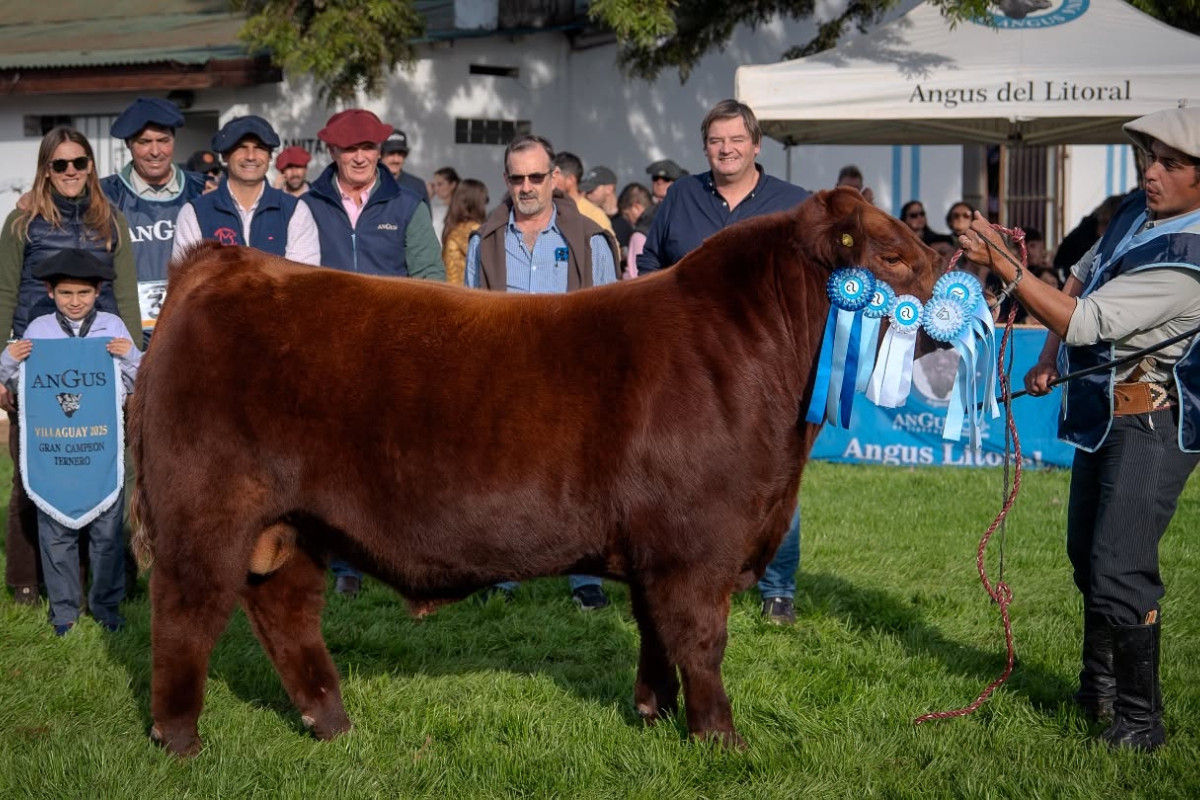 Imagen galería LUQUENSE 2236 PINTURITA T/E #2