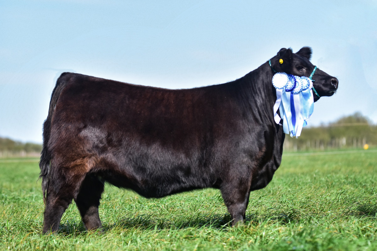 Imagen galería LUQUENSE 3074 HERENCIA T/E #1