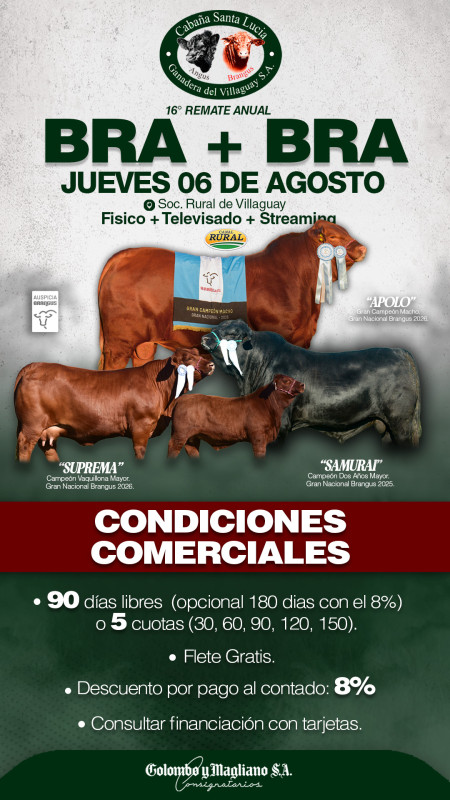 Flyer condiciones comerciales
