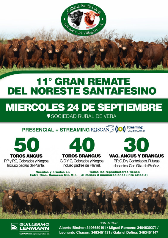 Flyer del remate