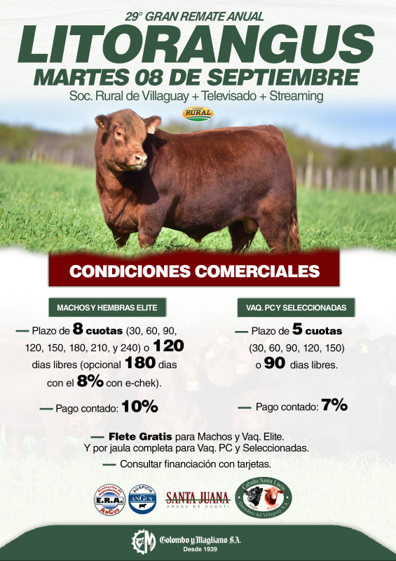 Flyer condiciones comerciales
