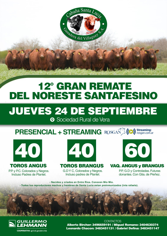 Flyer del remate