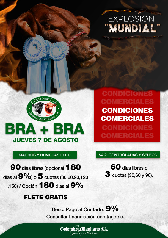 Flyer condiciones comerciales