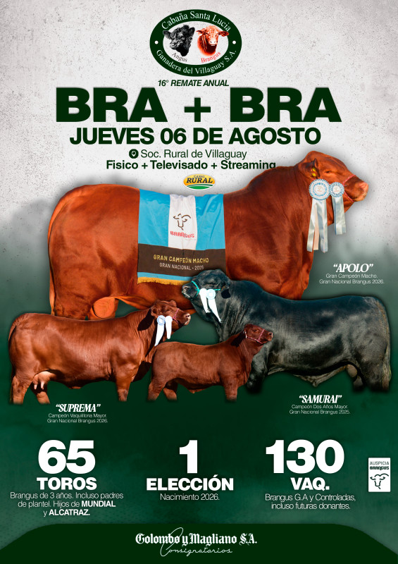 Flyer del remate