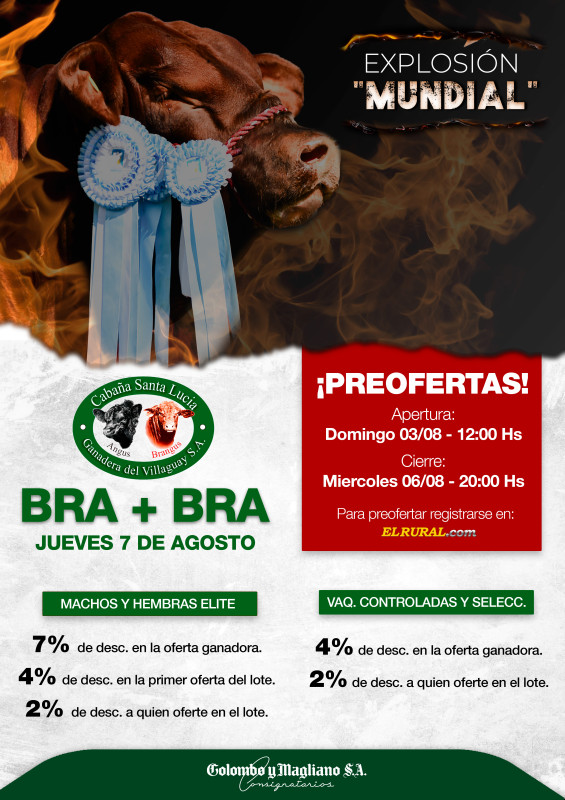 Flyer de preofertas