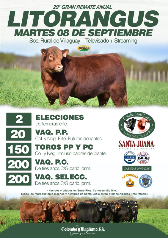 Flyer del remate