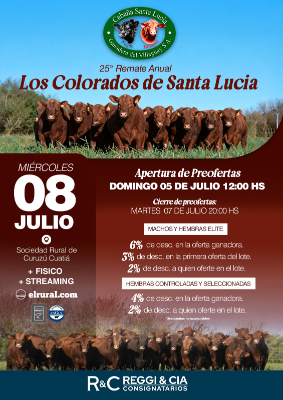 Flyer de preofertas