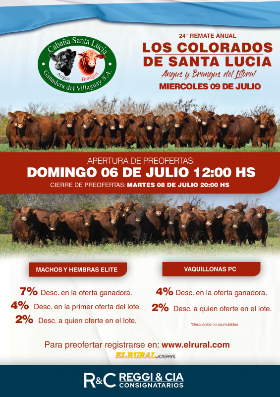 Flyer de preofertas