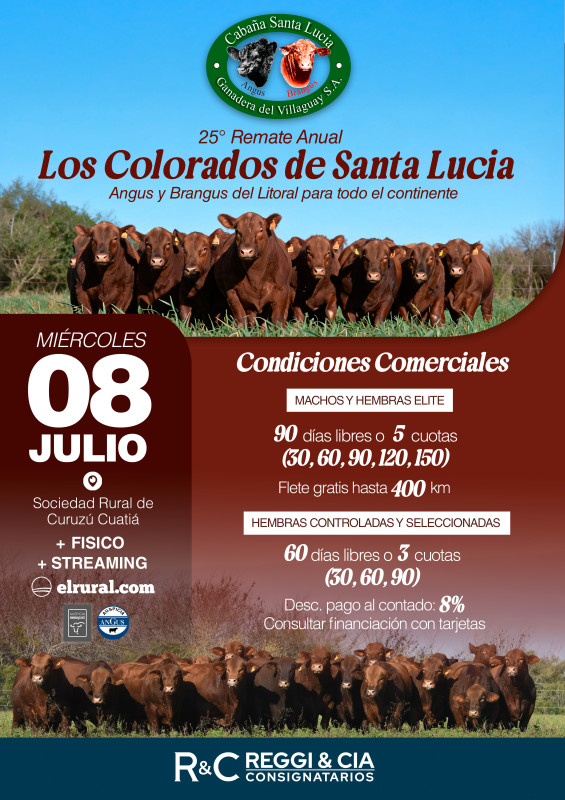 Flyer condiciones comerciales