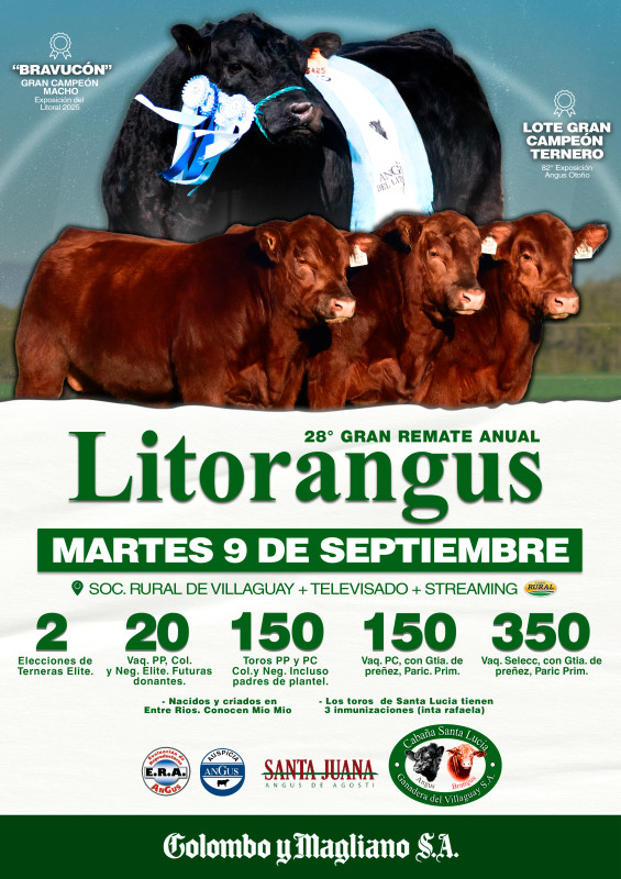 Flyer del remate