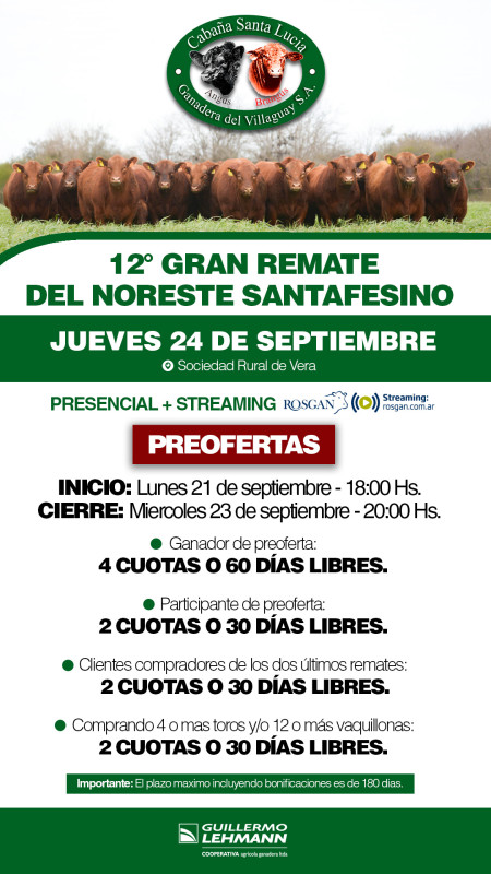 Flyer de preofertas