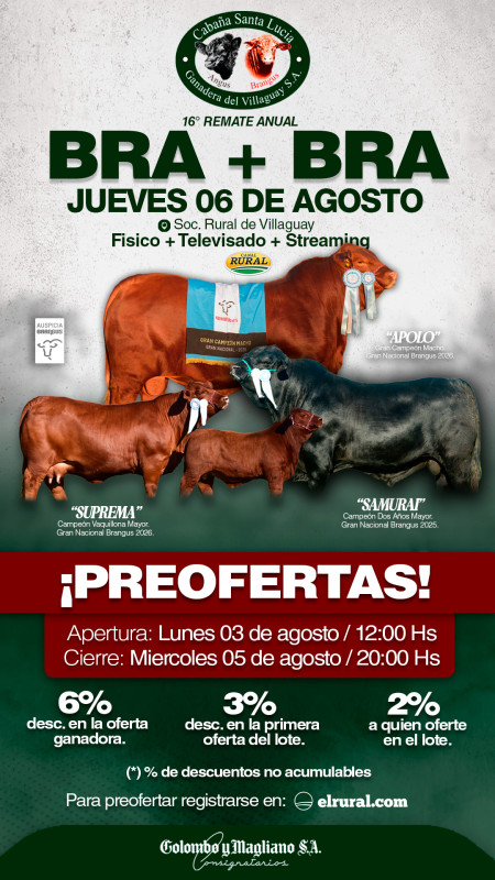 Flyer de preofertas