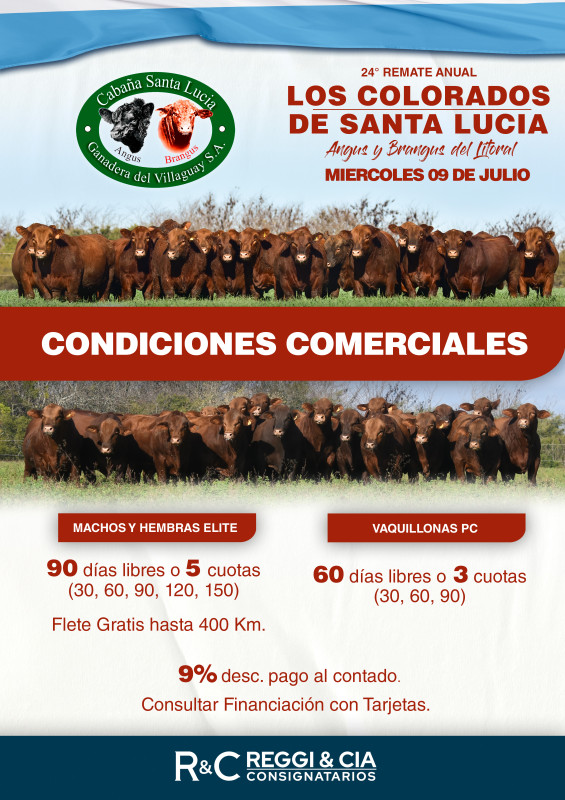 Flyer condiciones comerciales