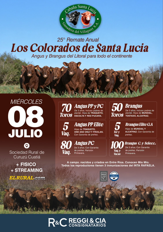 Flyer del remate