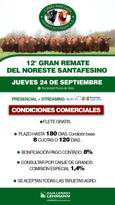 Flyer condiciones comerciales