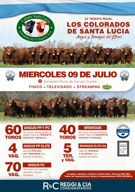 Flyer del remate