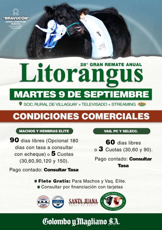 Flyer condiciones comerciales
