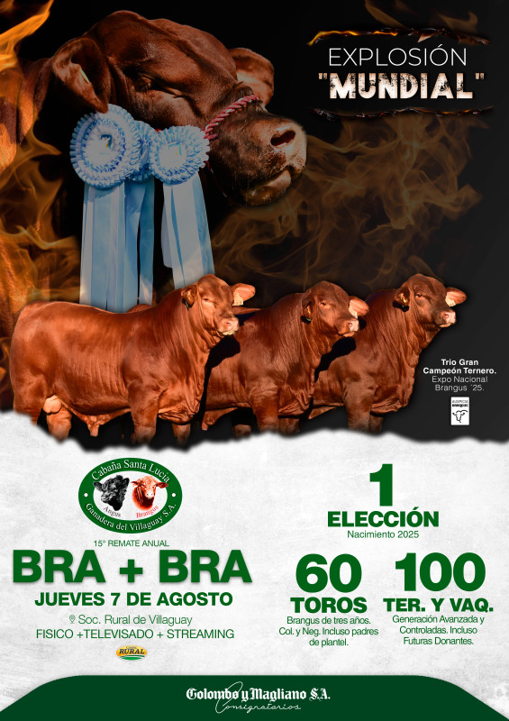 Flyer del remate