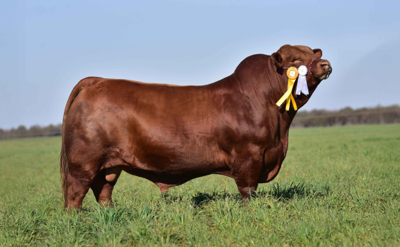 LUQUENSE 651 FORJADOR T/E