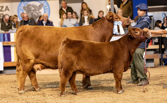 LUQUENSE 2792 ALTEZA T/E