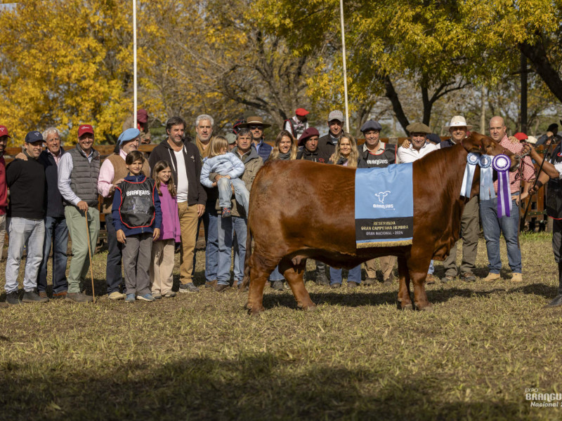 Foto #32 galería Nosotros