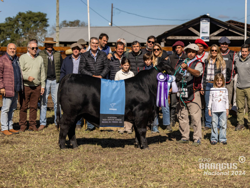 Foto #33 galería Nosotros