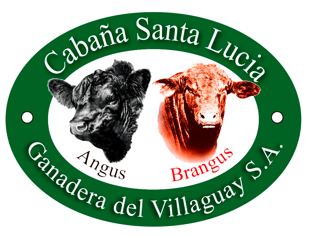 Logo Cabañas